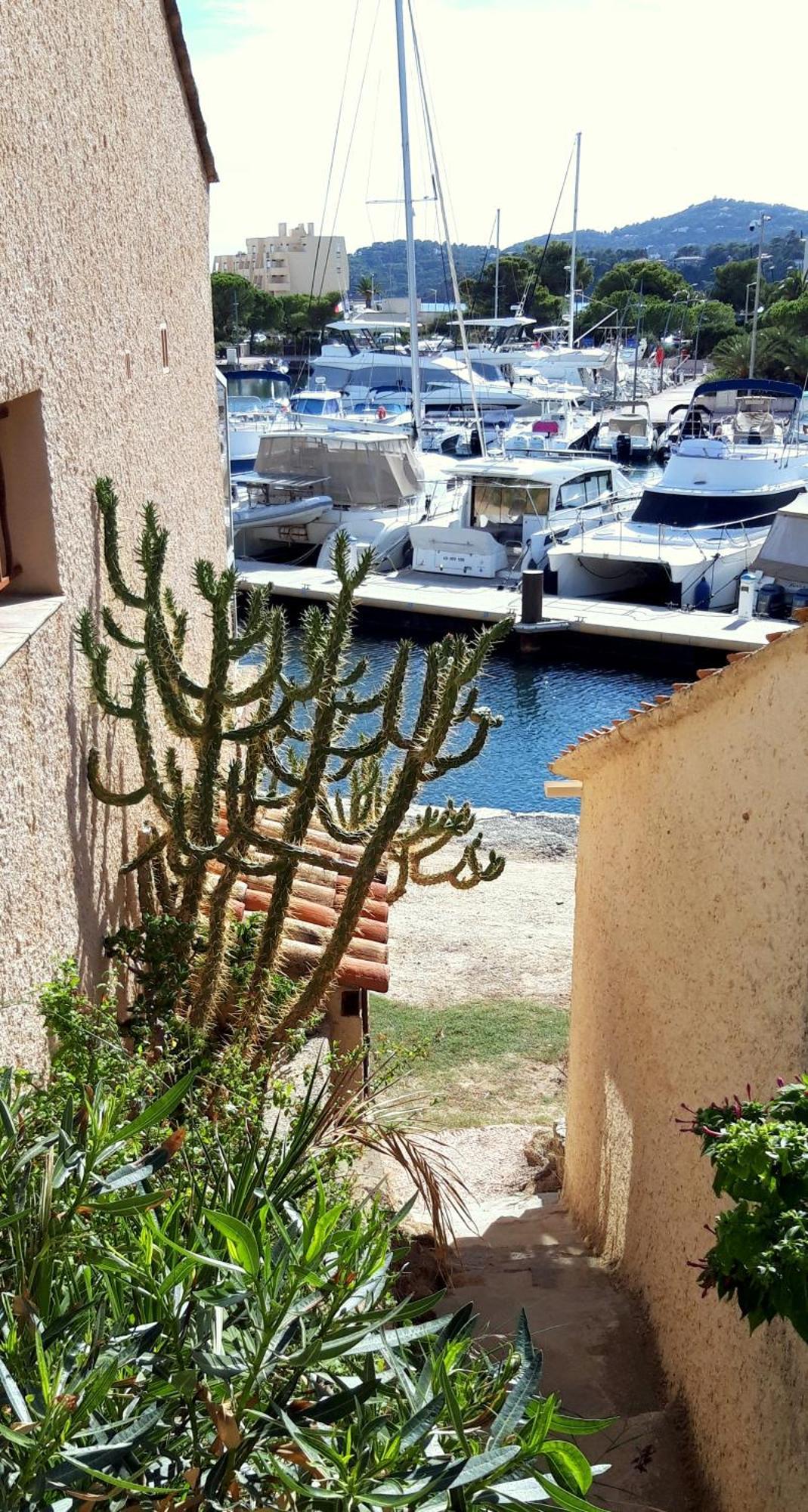 T2 Terrasse, Bormes Les Mimosas La Faviere, 5 Pers, 5 Mn A Pieds Des Plages Et Commerces Exterior photo